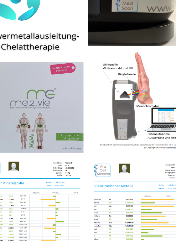 mineralstoffanalyse